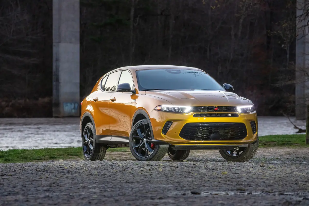 Hornet (yellow)